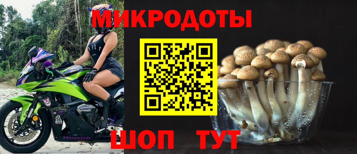 Галлюциногенные грибы Cubensis  Псилоцибиновые грибы MAGIC MUSHROOMS  Кызыл  Вход с VPN 