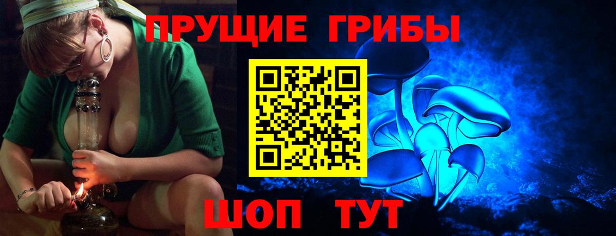 Бошки Шишки Кызыл